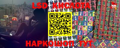 кокс Кингисепп