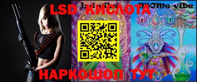 прущие грибы Кимры