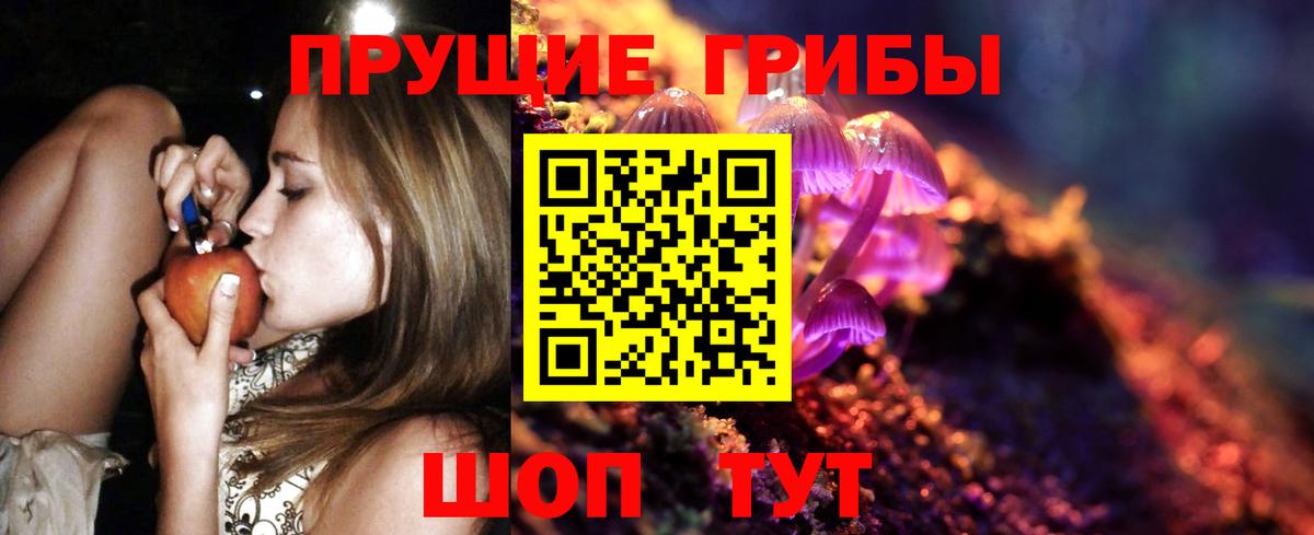 Галлюциногенные грибы MAGIC MUSHROOMS Черногорск