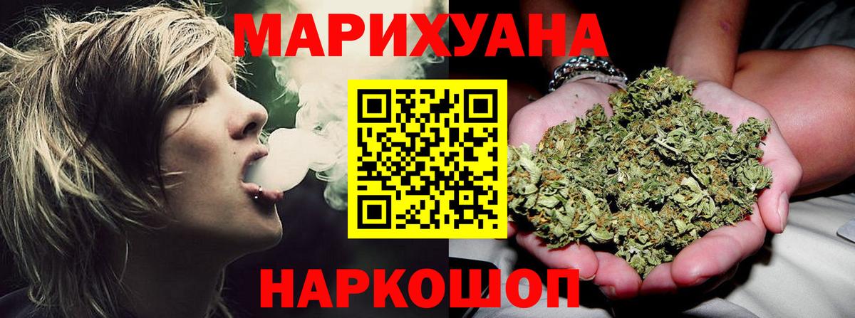 Каннабис сатива Черногорск